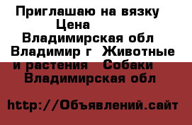 Приглашаю на вязку › Цена ­ 100 - Владимирская обл., Владимир г. Животные и растения » Собаки   . Владимирская обл.